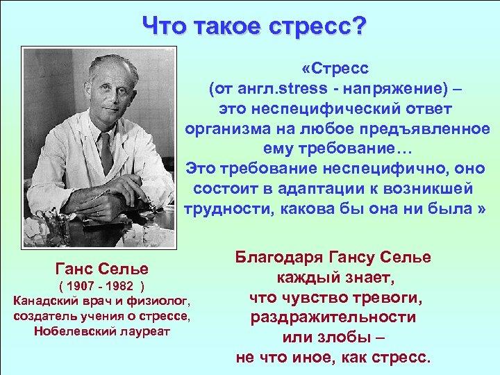 В гармонии с собой и миром. Что нужно знать о стрессе. Профилактика стресса